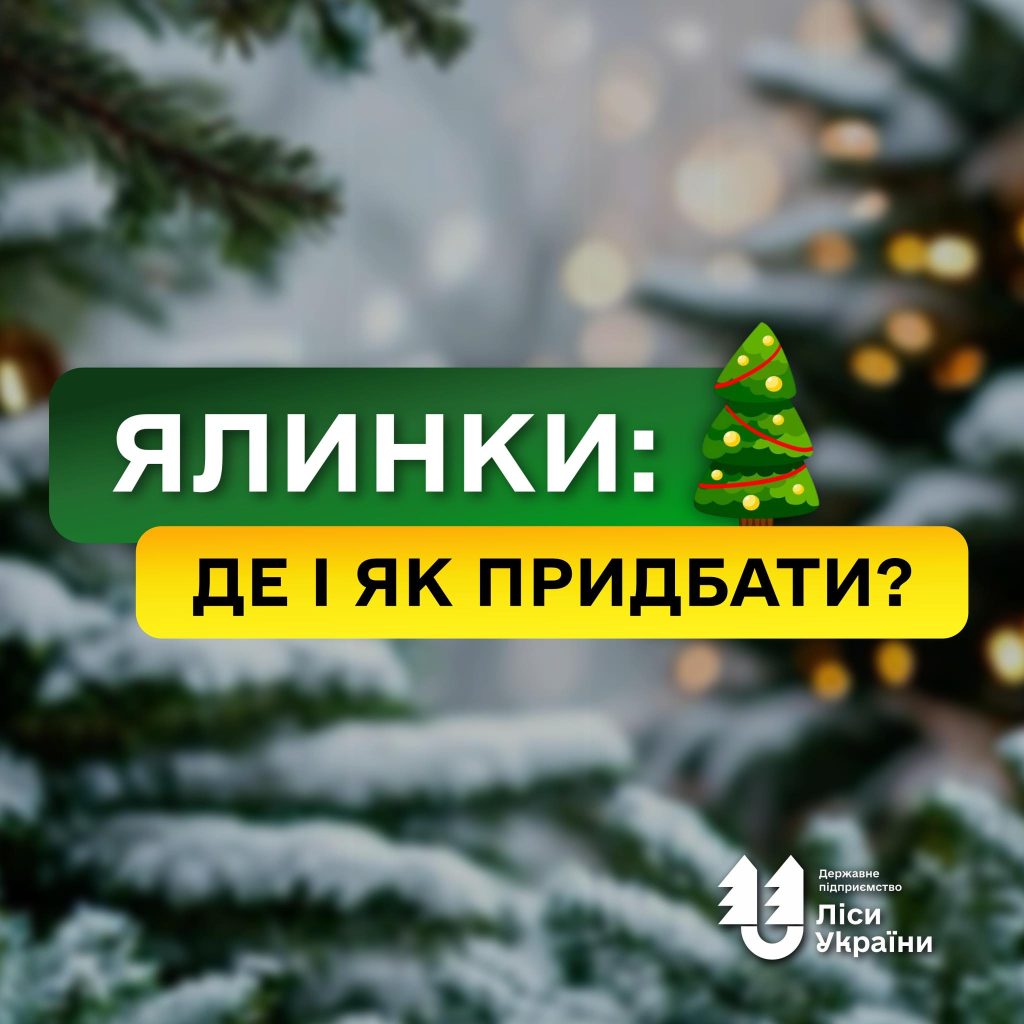 З кінця листопада ДП “Ліси України” реалізувало понад 17 тисяч різдвяних ялинок на суму 3,5 млн грн