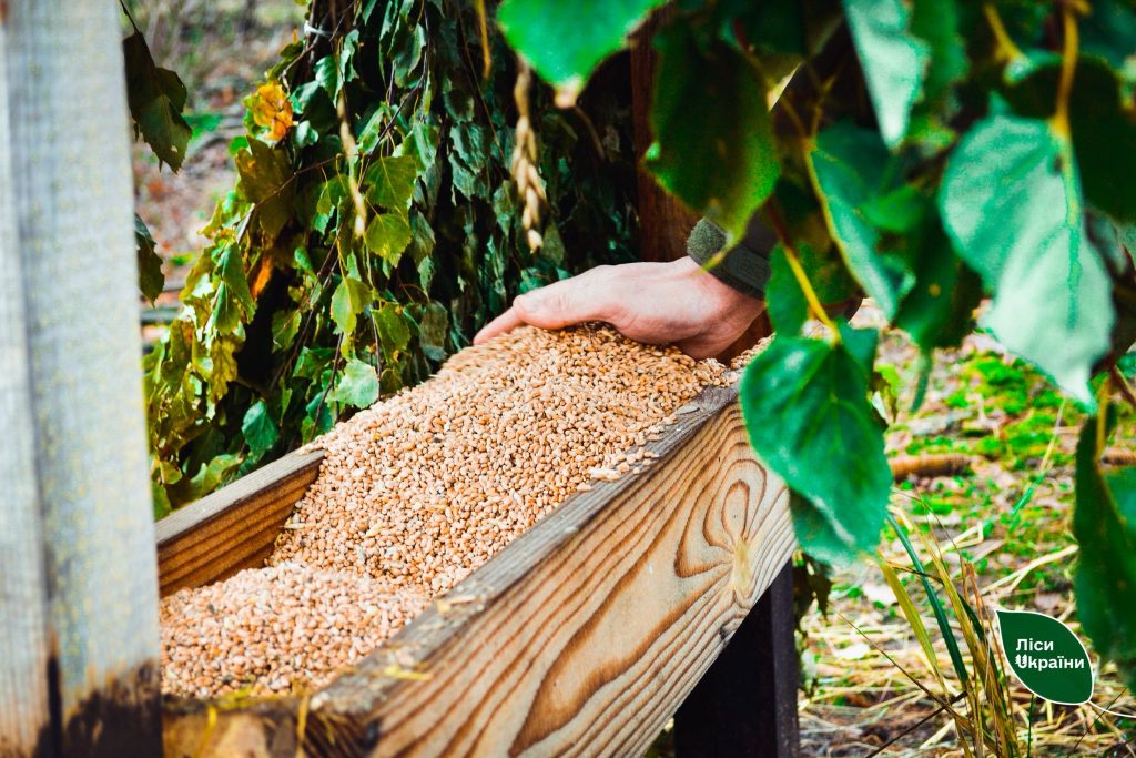 ДП “Ліси України” розпочало зимову підгодівлю мисливських тварин