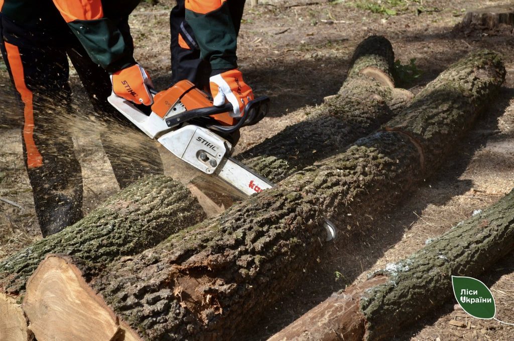 ДП «Ліси України» нарощує власні лісозаготівельні бригади