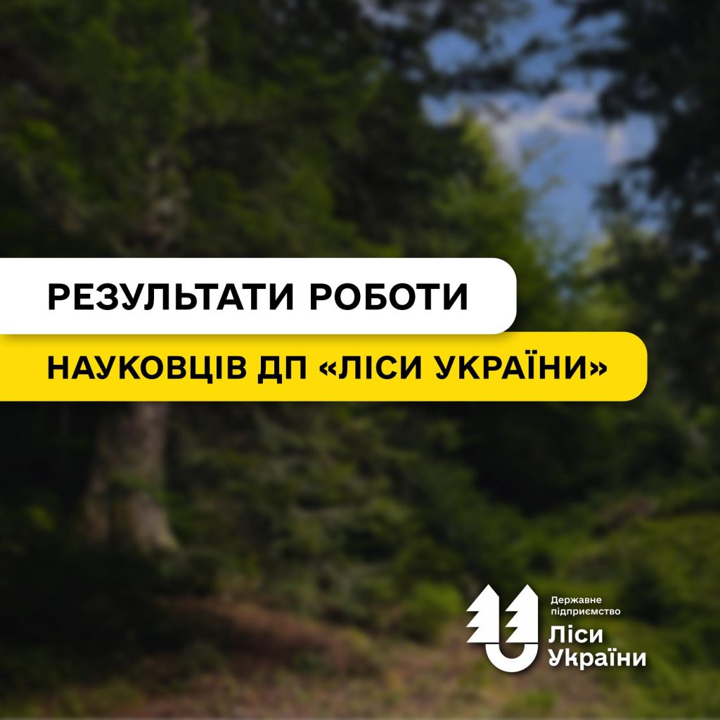 Збереження цінних екосистем, перехід до рубок переформування, боротьба з хворобами дерев: які дослідження ініціювало ДП “Ліси України” цьогоріч?