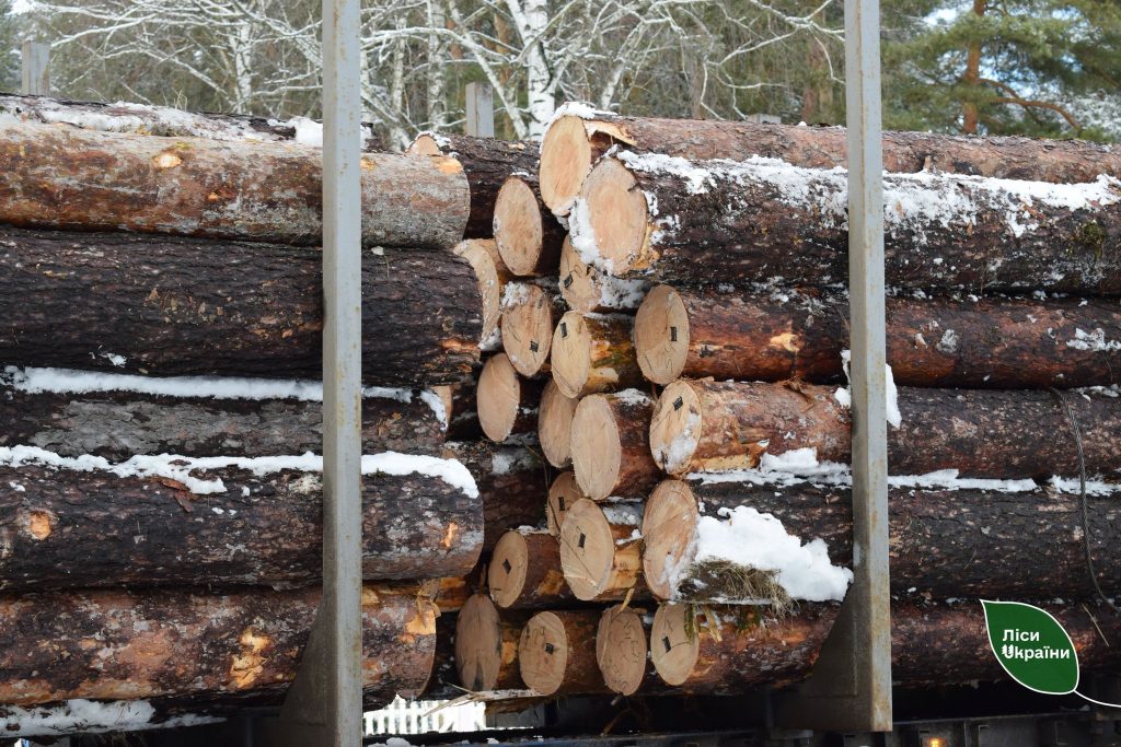 Збільшення заготівлі у 2026 році: лісові господарства ДП «Ліси України» успішно завершують повторне лісовпорядкування, яке в окремих випадках тривало понад п’ять років