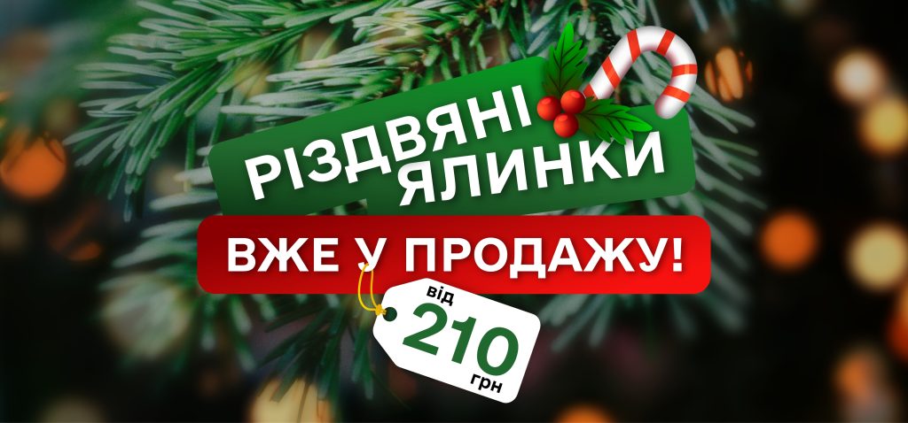 ДП «Ліси України» розпочало продаж різдвяних ялинок: ціни від 210 до 250 грн