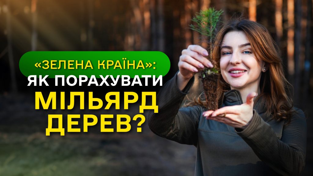 МІЛЬЯРД ДЕРЕВ зʼявився в Україні / як ДП “Ліси України” реалізували програму ЗЕЛЕНА КРАЇНА?