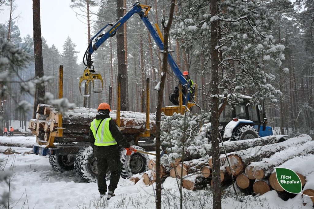 Високий попит і 100% реалізації: філія “Поліський лісовий офіс” підбила підсумки аукціонів І кварталу 2026 року