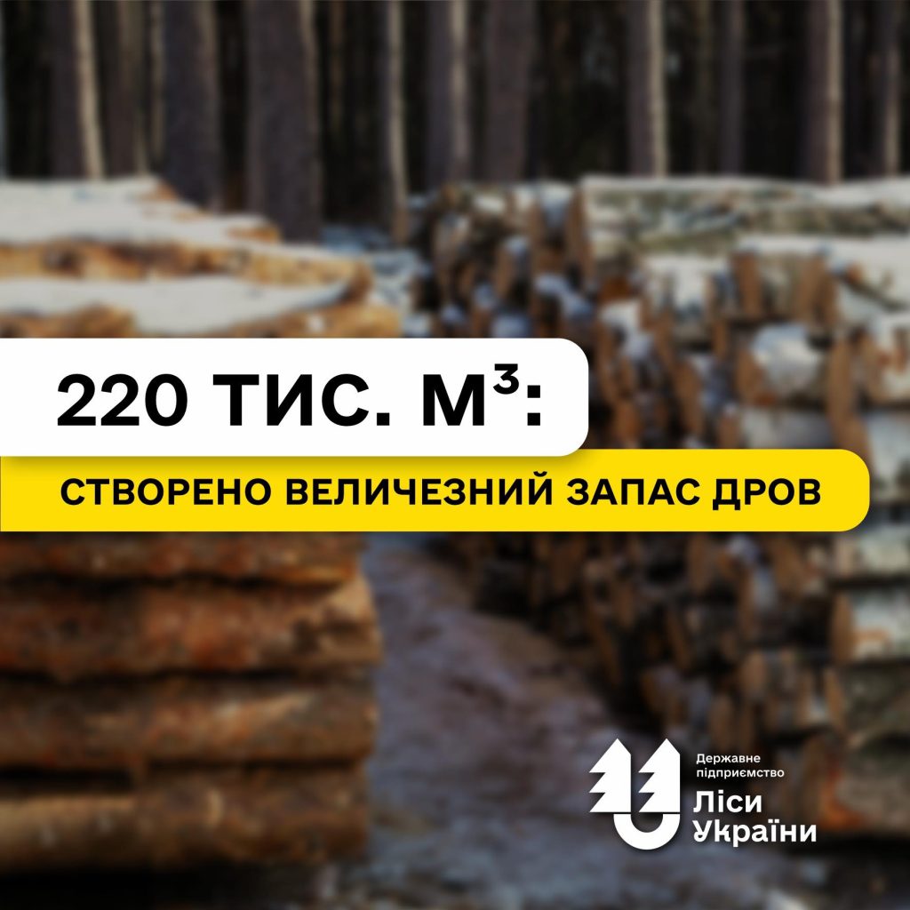 Понад 220 тис. м³ дров: на складах ДП «Ліси України» зосереджений величезний запас палива для населення, соцсфери та військових