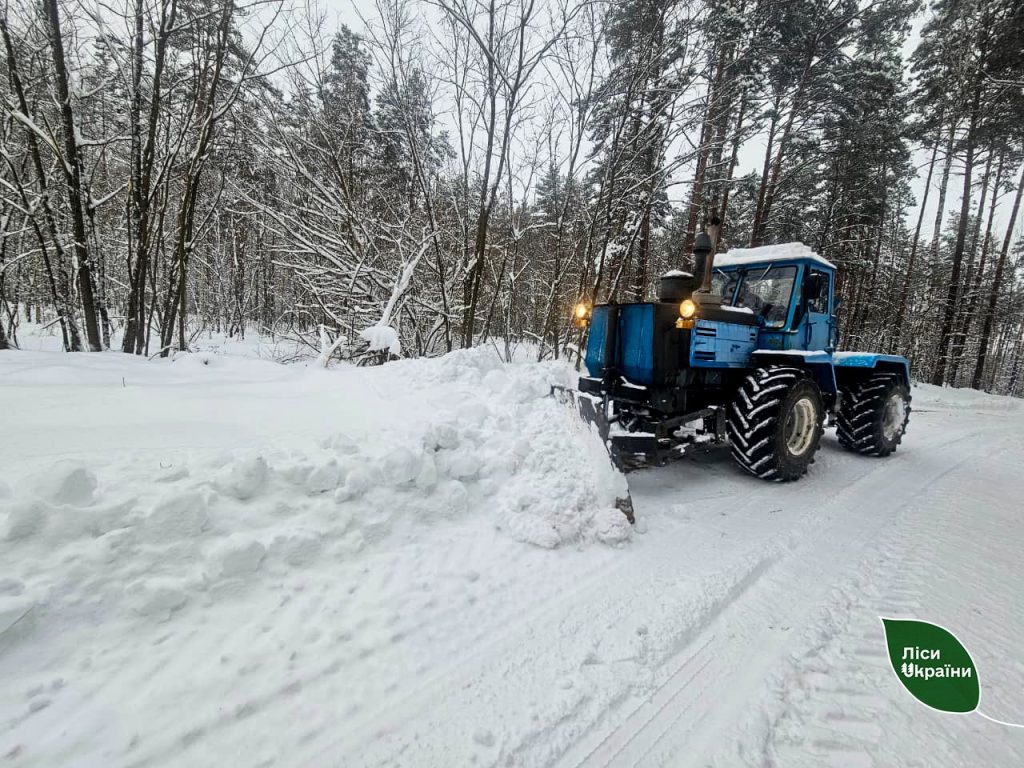 Попри сніг і морози більшість складів ДП «Ліси України» доступні для вивозу деревини великогабаритним транспортом