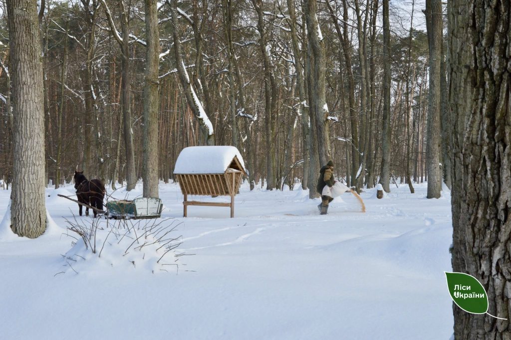Посилена робота єгерської служби ДП “Ліси України”: від яких найбільших загроз рятуємо диких тварин?