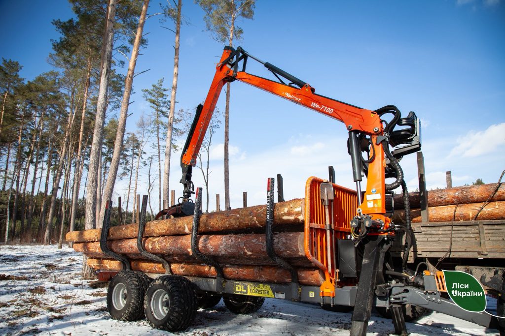 На початку 2026 року ДП «Ліси України» заготовили втричі(!) більше деревини, ніж торік!