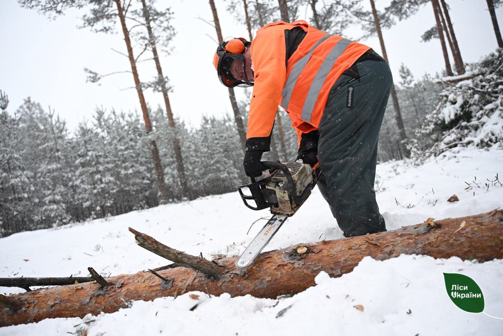 “Українці починають купувати більше дров”, – повідомив керівник ДП “Ліси України” Юрій Болоховець