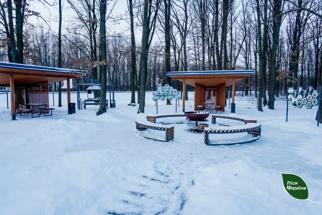 +50 нових рекреаційних пунктів збудує ДП “Ліси України” у 2026 році