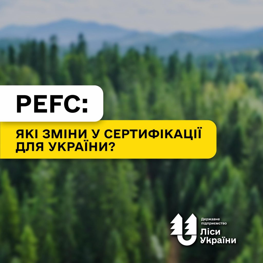 Стале лісоуправління за стандартами PEFC: що змінилось для України?