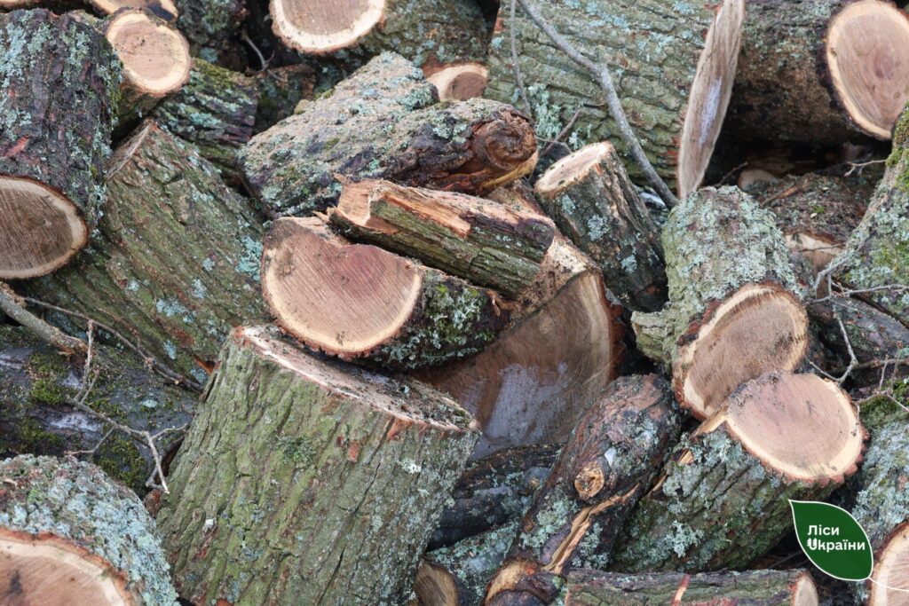 Працівники ДП “Ліси України” допомогли дровами психоневрологічному інтернату на Харківщині