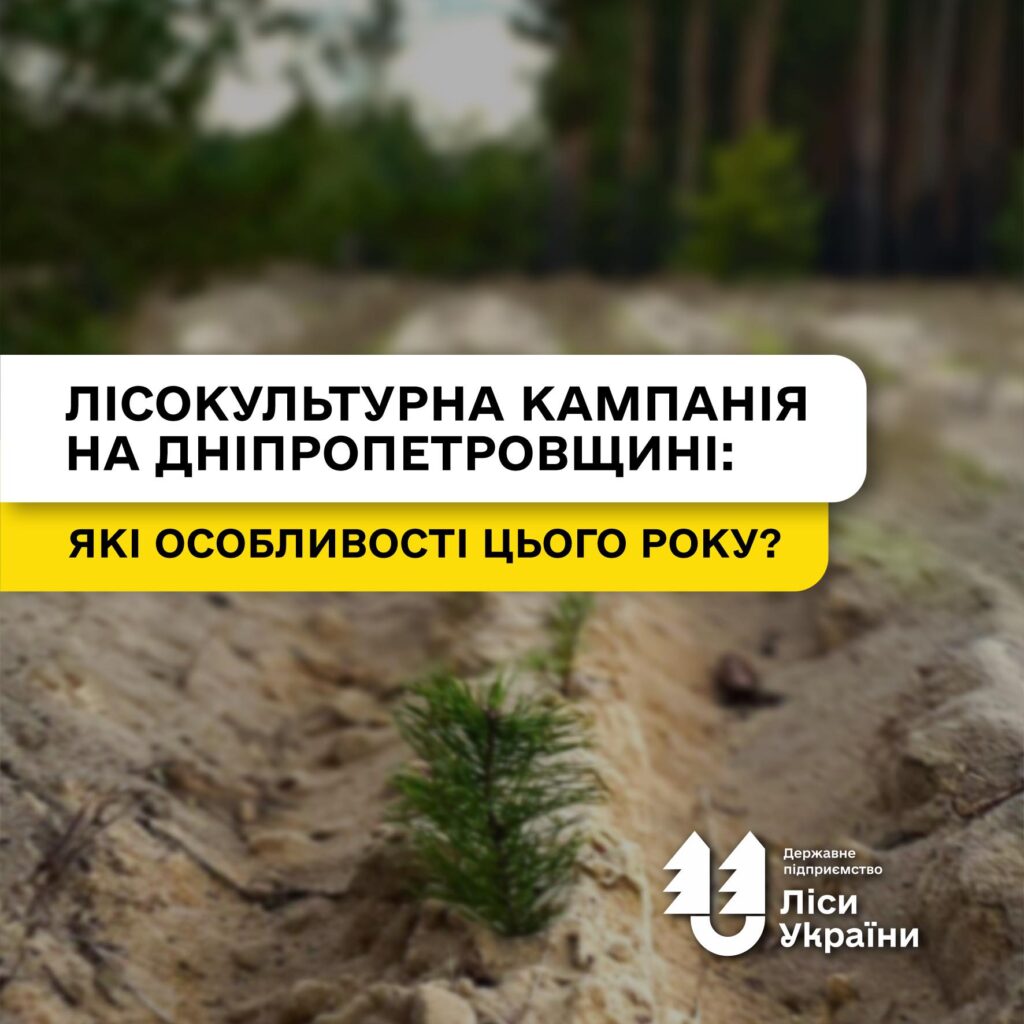 ДП «Ліси України» розпочинає весняну лісокультурну кампанію на прифронтовій Дніпропетровщині!