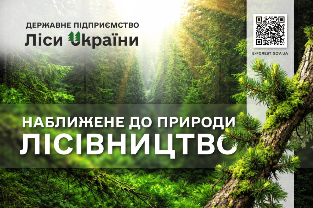 Перехід на наближене до природи лісівництво: у лісах Карпатського регіону розпочинається актуалізація даних лісовпорядкування