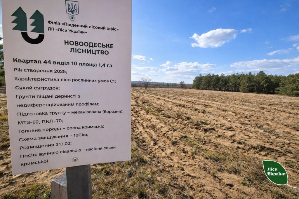 Економіка та екологія: результати експерименту з прямим висівом сосни кримської