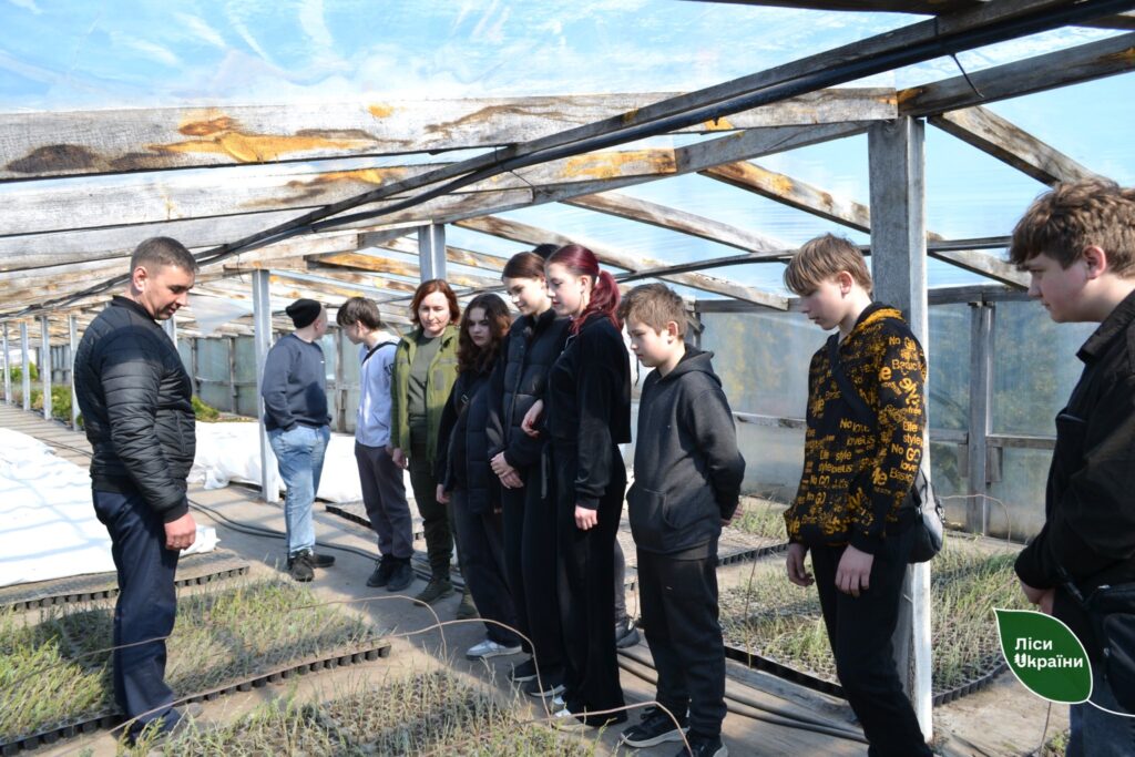Від теорії до практики: як школярі опановують основи лісівництва