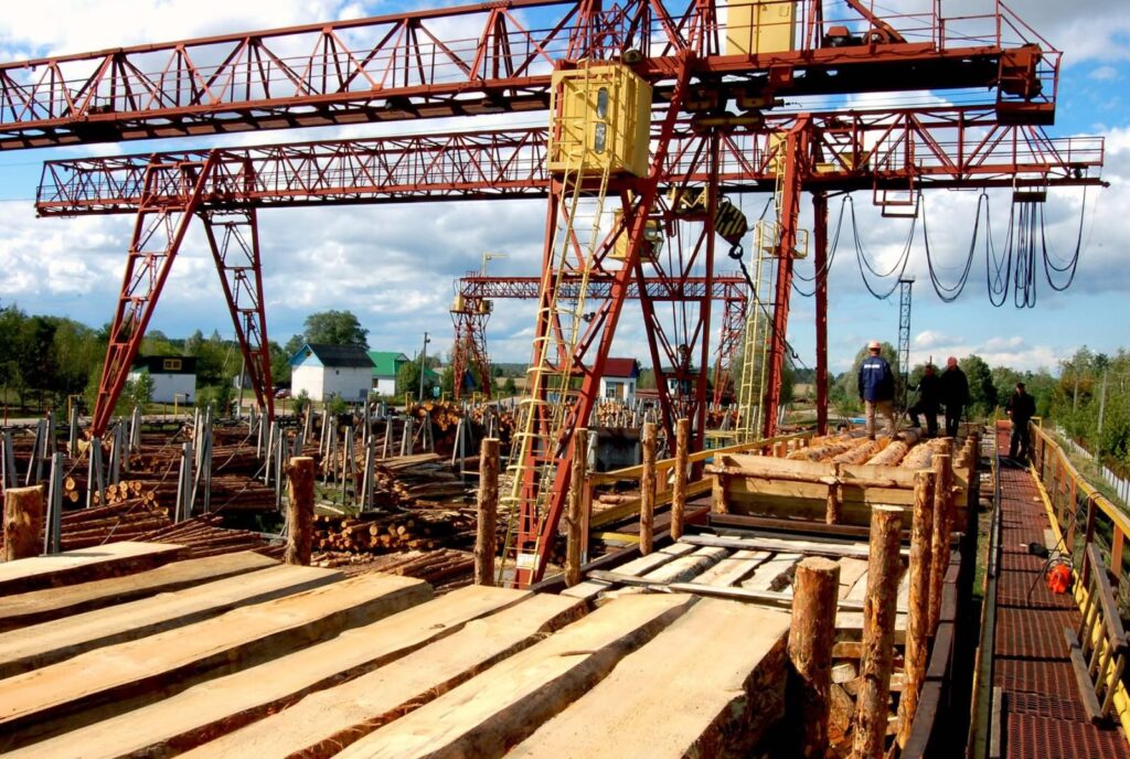 Розвиток лісової галузі та переробки: державна підтримка та роль ДП «Ліси України»