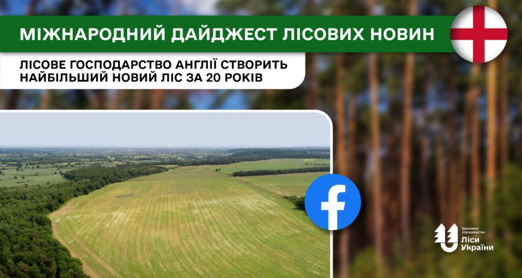 Лісове господарство Англії (Forestry England) створить найбільший новий лісовий масив за понад 20 років
