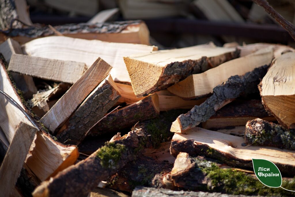 Більше дров для людей: ДП «Ліси України» активно готується до нового опалювального сезону