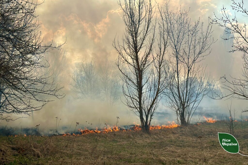 На Черкащині лісівники гасили дві пожежі у лісах, спричинені російськими обстрілами