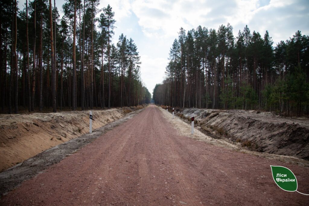 У квітні ДП “Ліси України” відновлює реалізацію 25 проєктів, пов’язаних з будівництвом лісових доріг