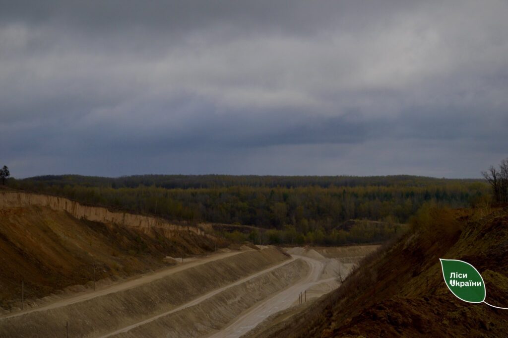 ДП “Ліси України” разом із громадою та бізнесом повертає державі майже 150 гектарів майбутнього лісу