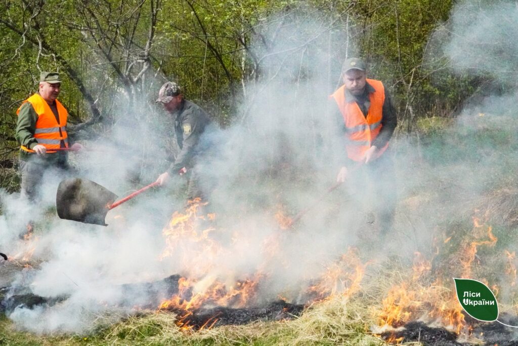 Діяти злагоджено та приборкати вогонь: лісівники Карпатської філії провели навчання з гасіння лісової пожежі