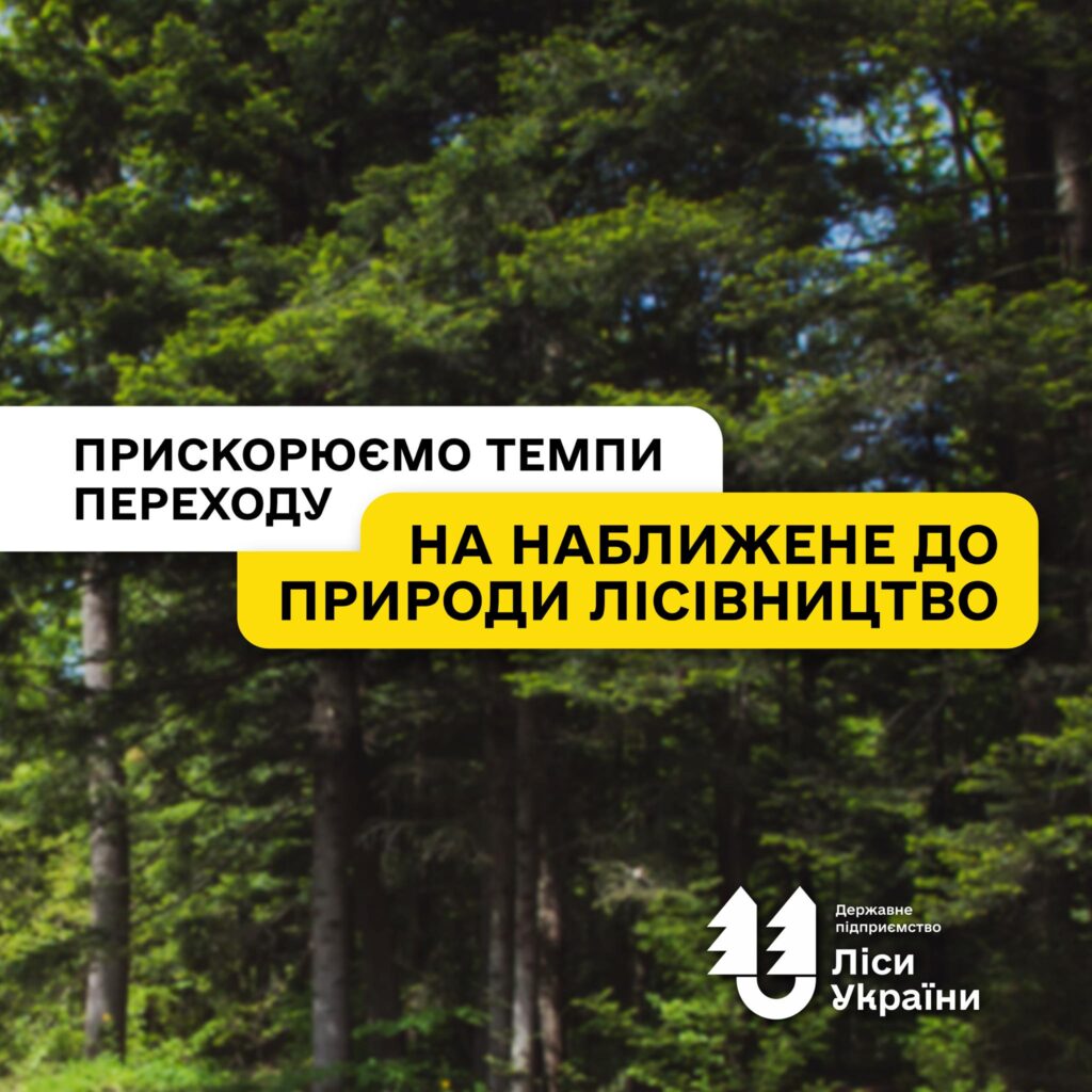 Гірські ліси Карпат без суцільних рубок: ДП «Ліси України» пришвидшує темпи переходу на наближене до природи лісівництво