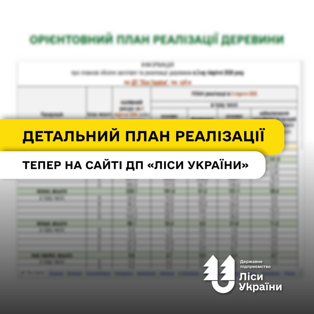 ДП «Ліси України» відкрили дані про 6,3 млн м³ деревини: стартують форвардні та квартальні аукціони