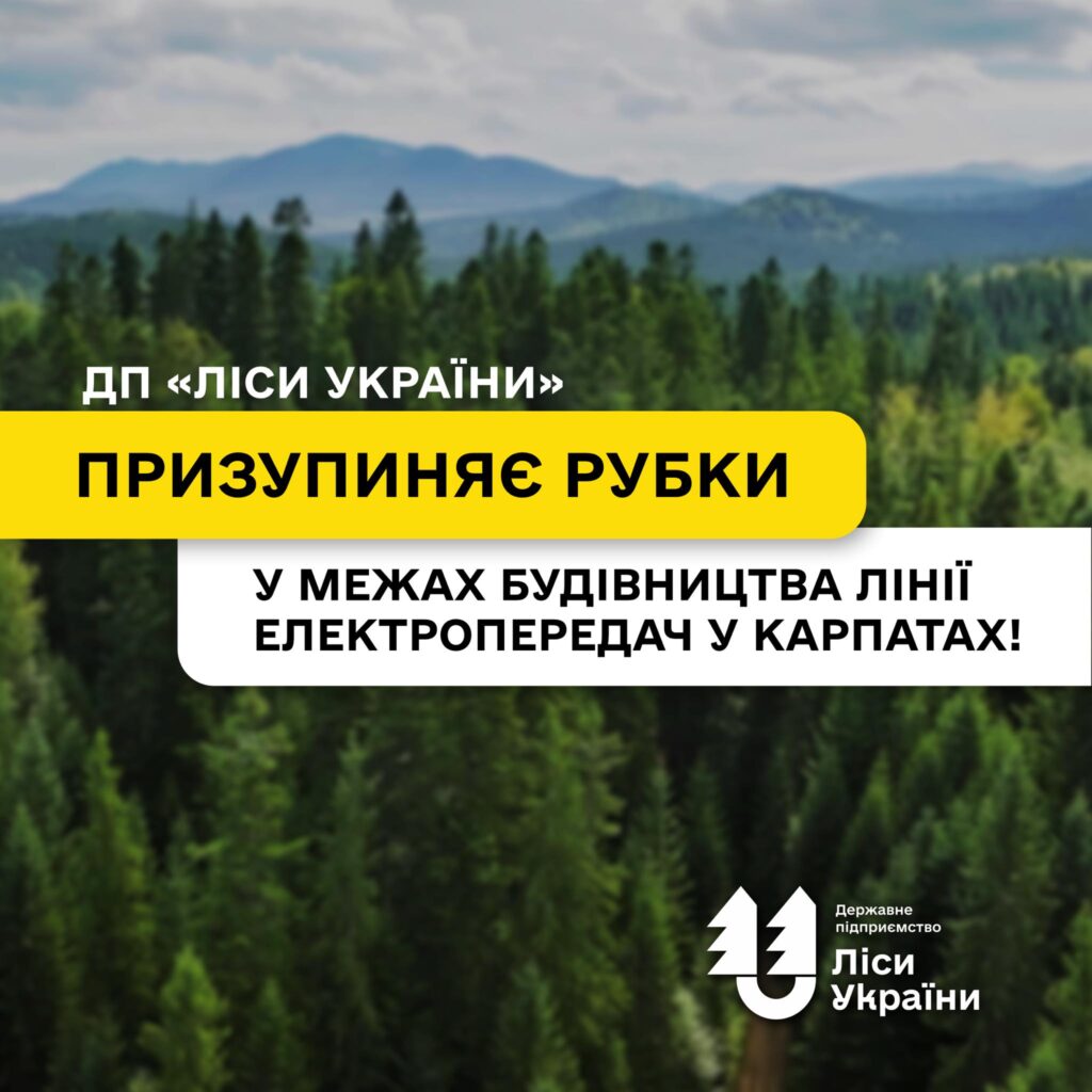 ДП «Ліси України» призупиняє рубки у межах будівництва лінії електропередач у Карпатах!