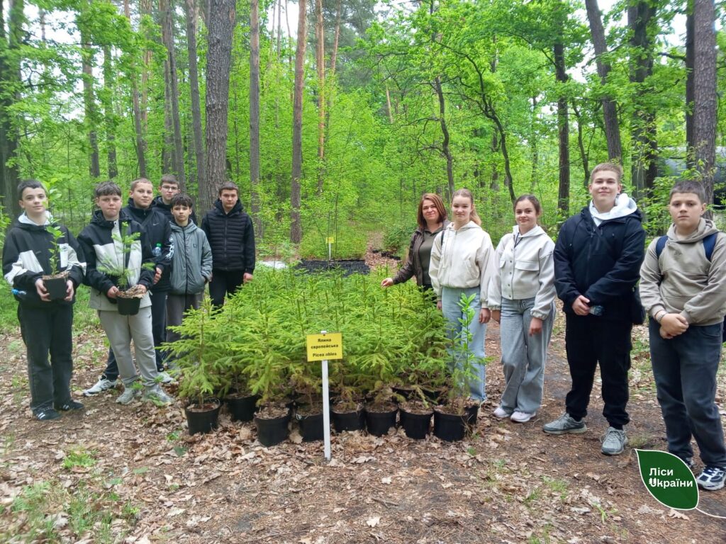 Там, де починається ліс: на Львівщині дітям показують шлях від насінини до дерева