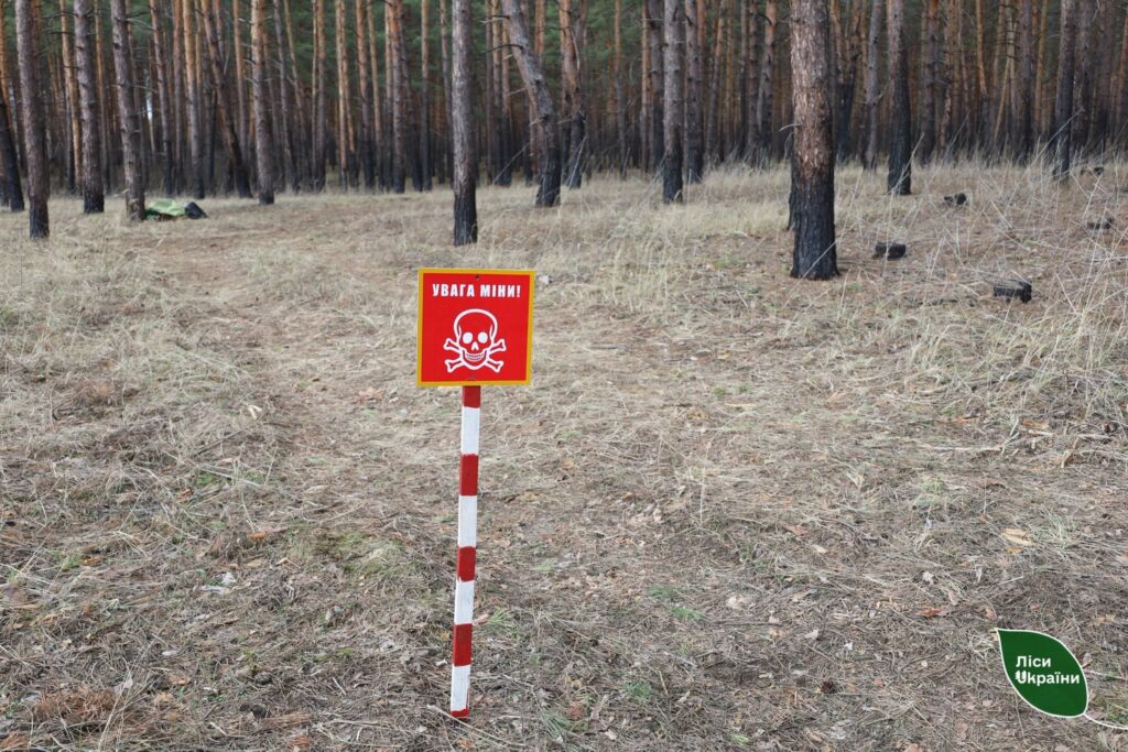 Через бойові дії на Харківщині ДП «Ліси України» цього року призупинило роботу у 6 лісництва!