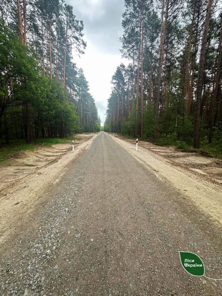На Чернігівщині завершили капітальний ремонт лісової дороги