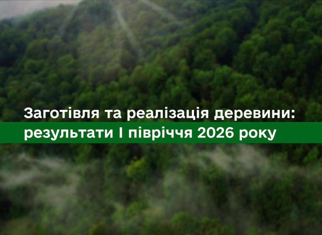 Лісова та деревообробна галузі мають працювати синхронно!