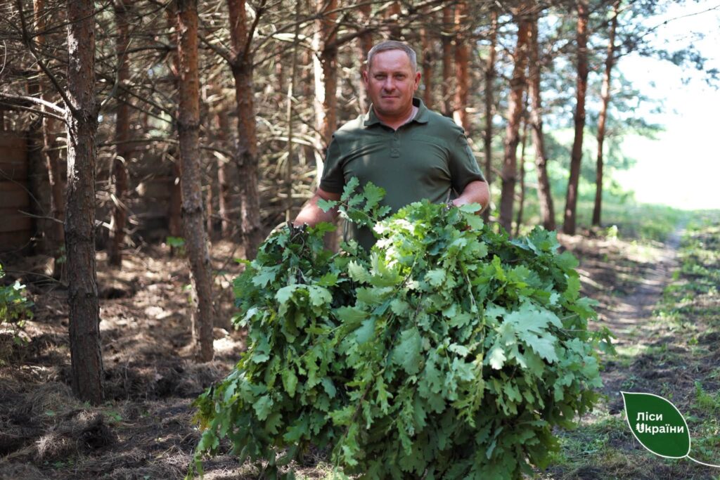 Єгерська служба ДП «Ліси України»: охорона та відтворення диких тварин під час війни