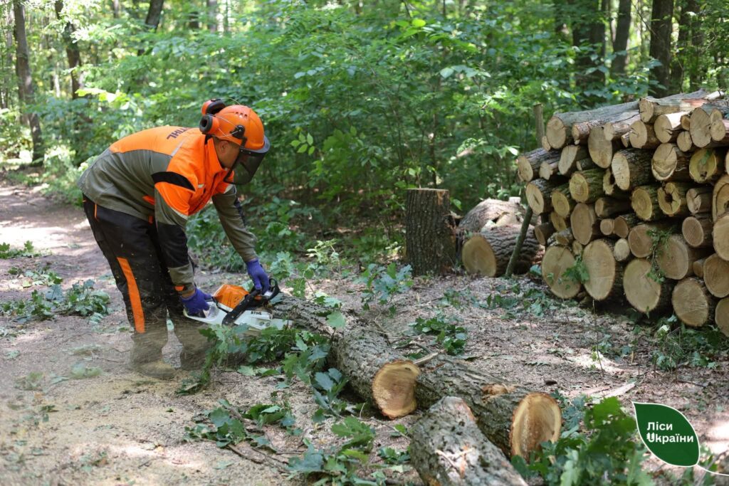 На межі лінії зіткнення: у прифронтовому Ізюмському надлісництві підприємству вдалося майже вдесятеро збільшити заготівлю дров!