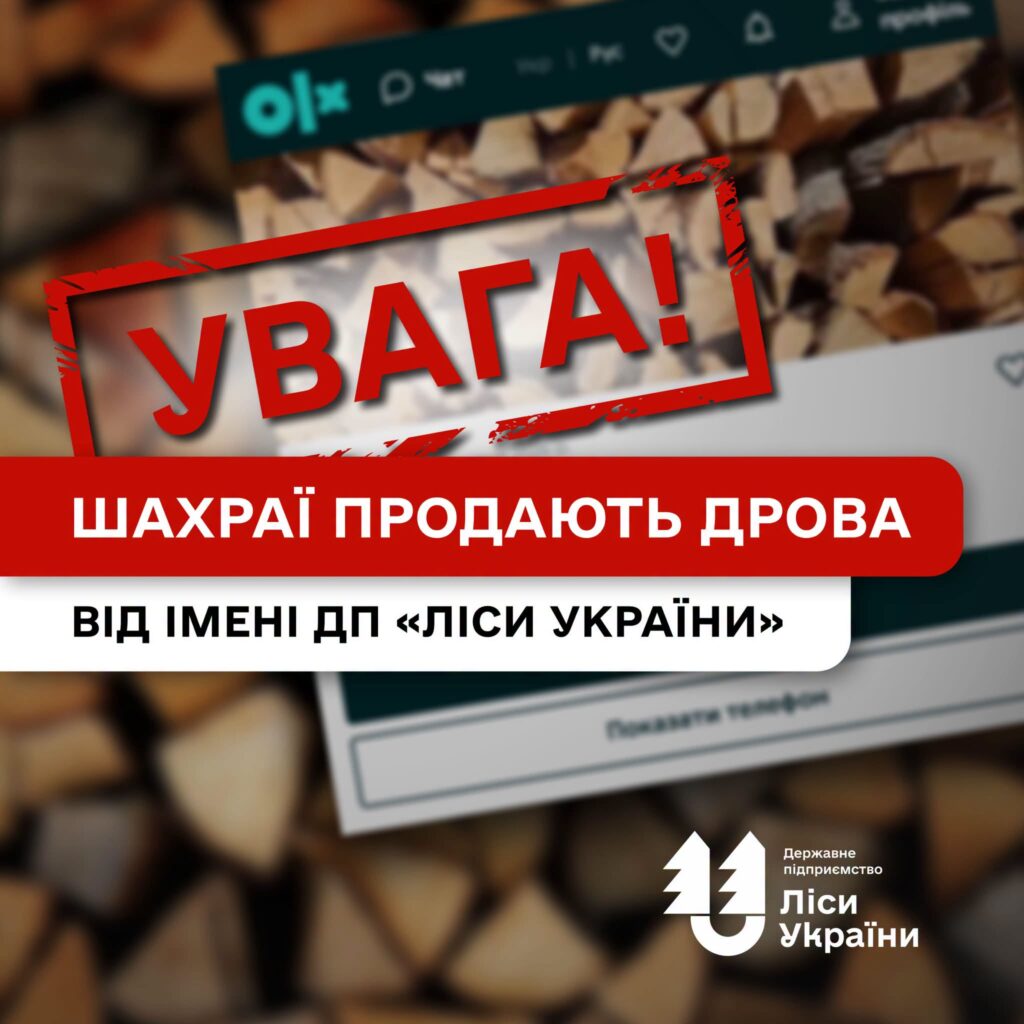 Заплатила 12 тис. грн, але дров не отримала: шахраї публікують оголошення та збирають у людей кошти від імені ДП «Ліси України»