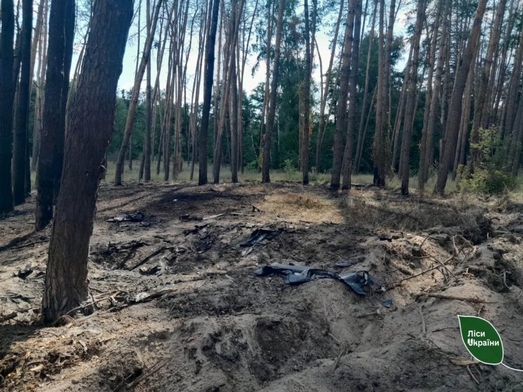 Найспекотніший день літа: за добу ліквідовано 10 лісових пожеж загальною площею близько 5 га