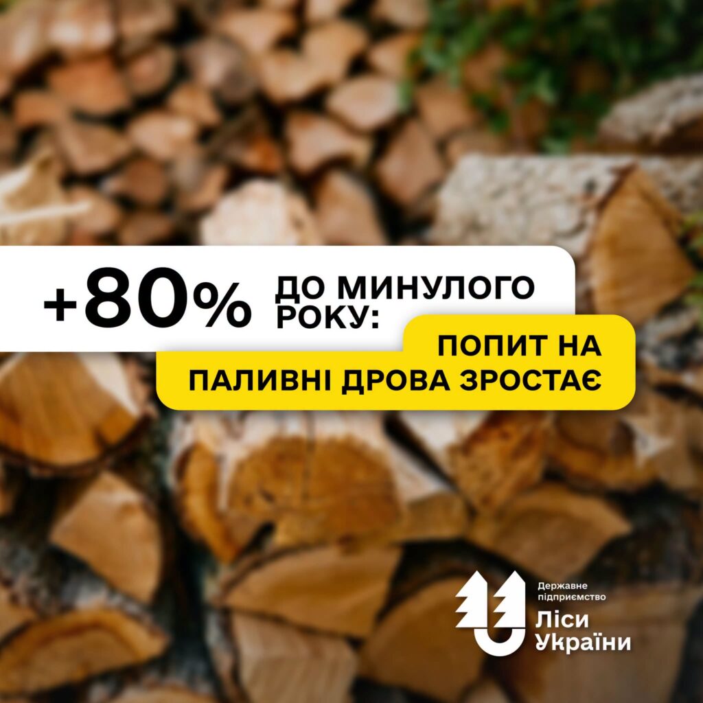 +80% до минулого року: попит на паливні дрова зростає, але ресурсу вистачає!