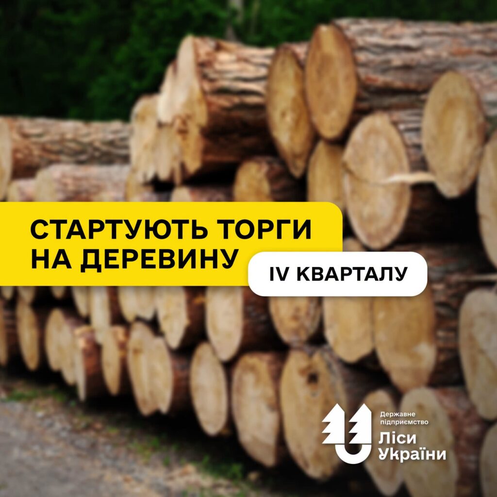 Стартують аукціони з продажу необробленої деревини заготівлі IV кварталу 2026 року