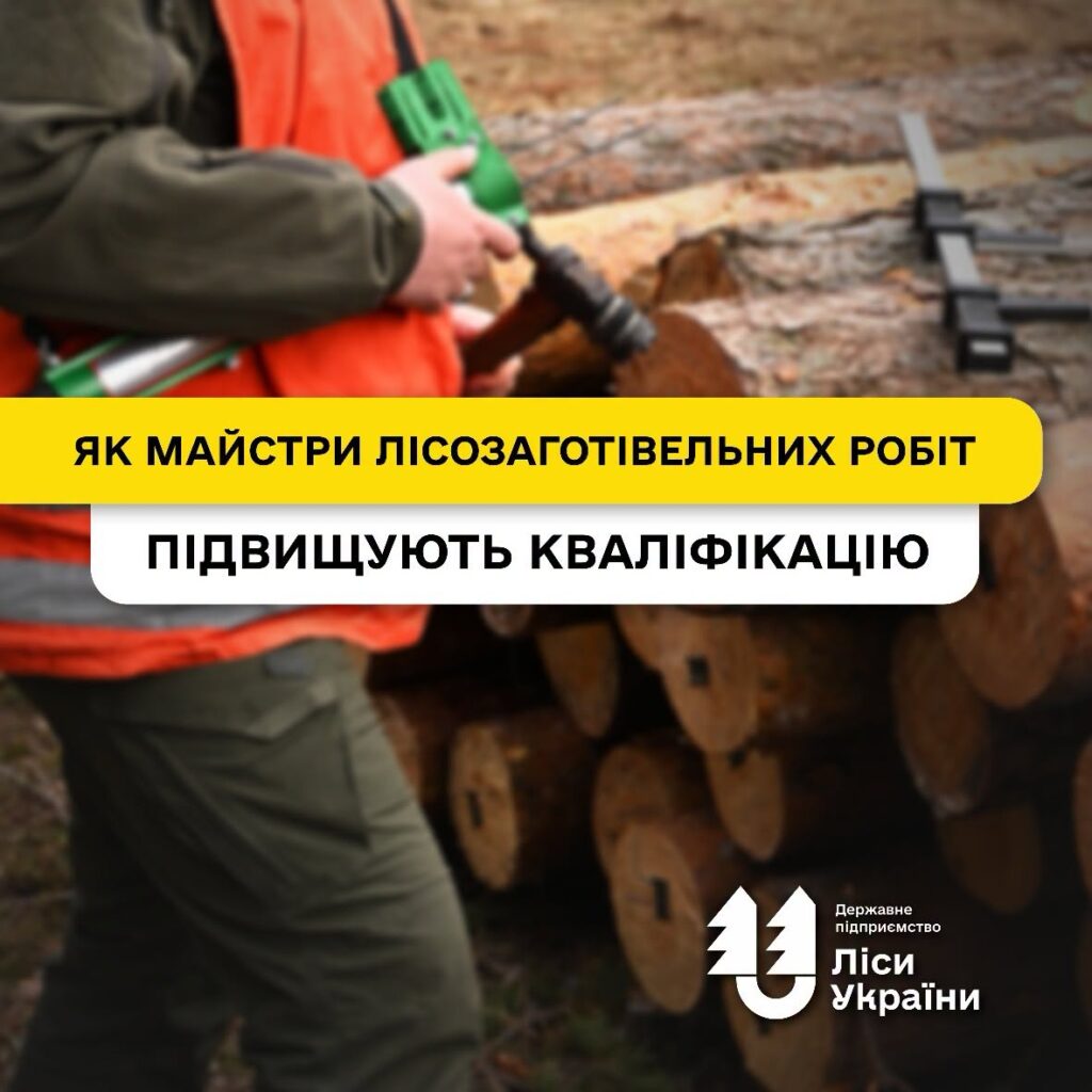Від обліку деревини до безпеки на лісосіці: як майстри лісозаготівельних робіт підвищують кваліфікацію