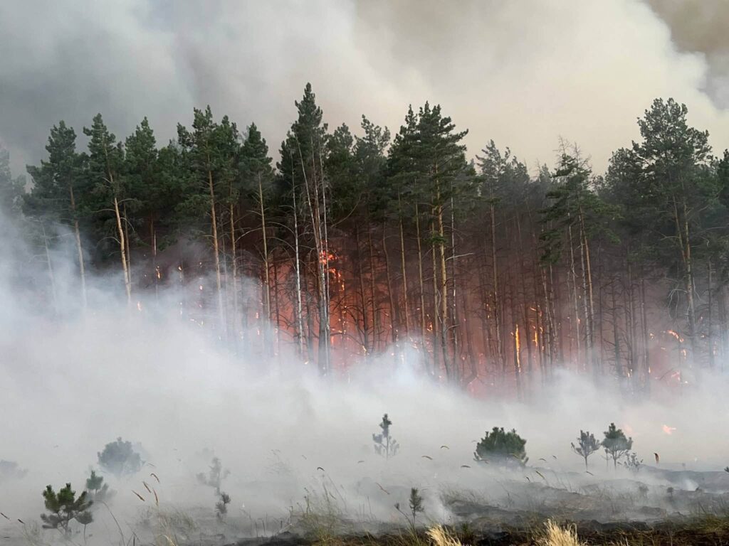 ДП «Ліси України» допомагає гасити масштабну лісову пожежу на Київщині!