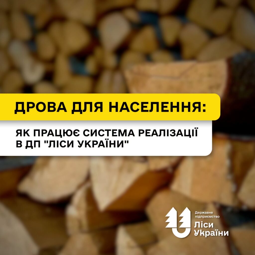 Дрова для населення: як працює система реалізації в ДП «Ліси України»