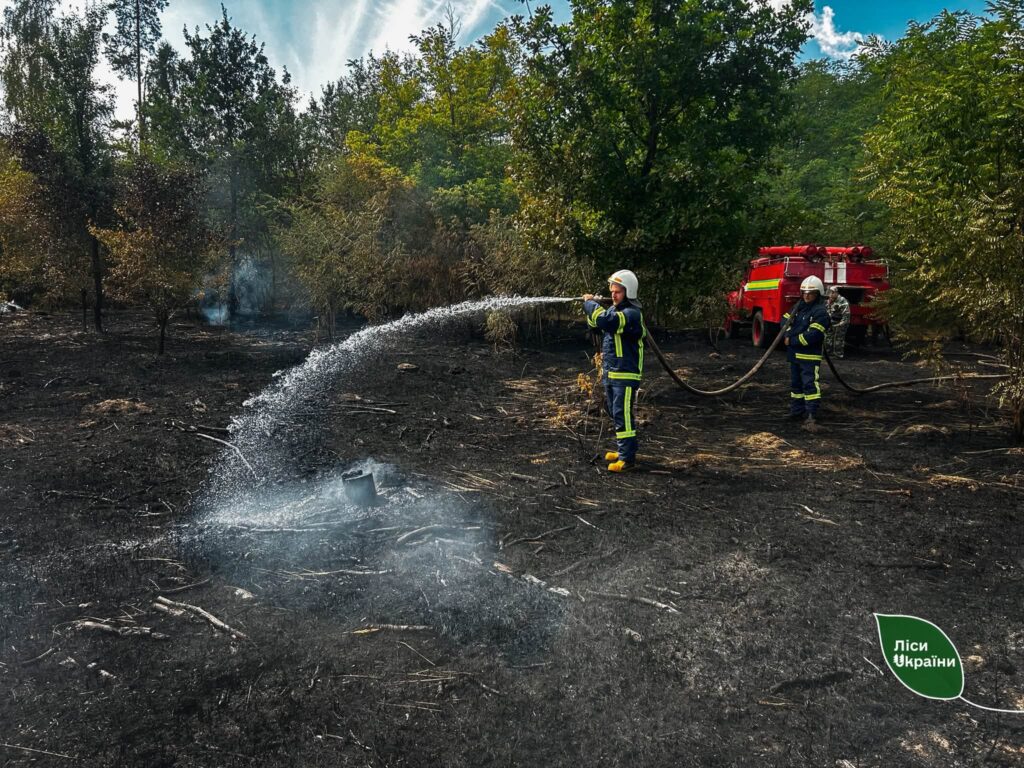 Бережемо ліс для вас: “пожежник з бордів” Віталій Рибалко розповів про ліквідацію найбільшої пожежі на Черкащині