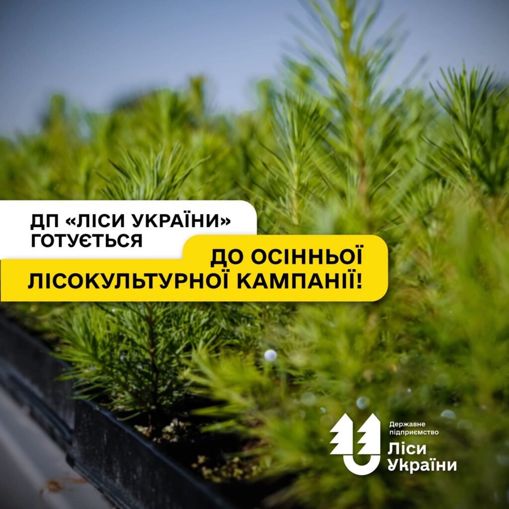 ДП «Ліси України» готується до осінньої лісокультурної кампанії!