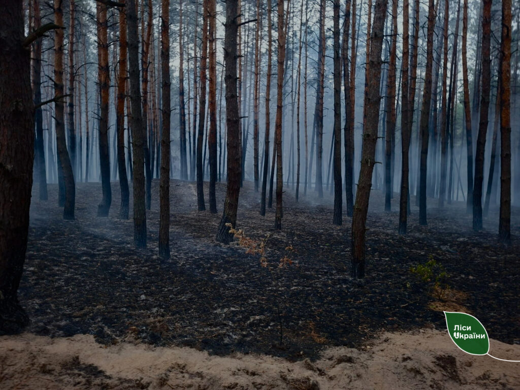 Від ударів ворога найбільше постраждали ліси Харківщини та Київщини