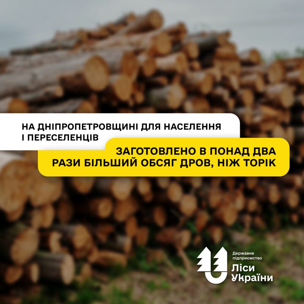 Паливо для прифронтових регіонів: на Дніпропетровщині для місцевого населення і переселенців лісівники заготовили більш ніж удвічі більший обсяг дров, ніж торік