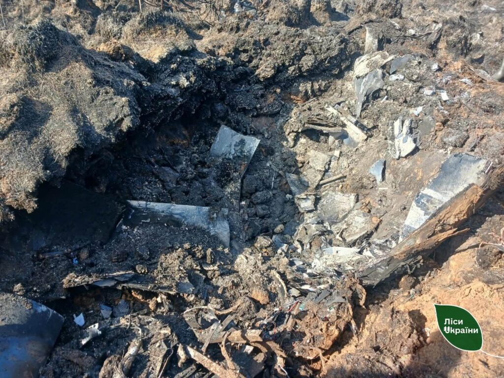 Шість пожеж за вихідні: на Київщині спеціалісти ДП «Ліси України» оперативно ліквідували загоряння