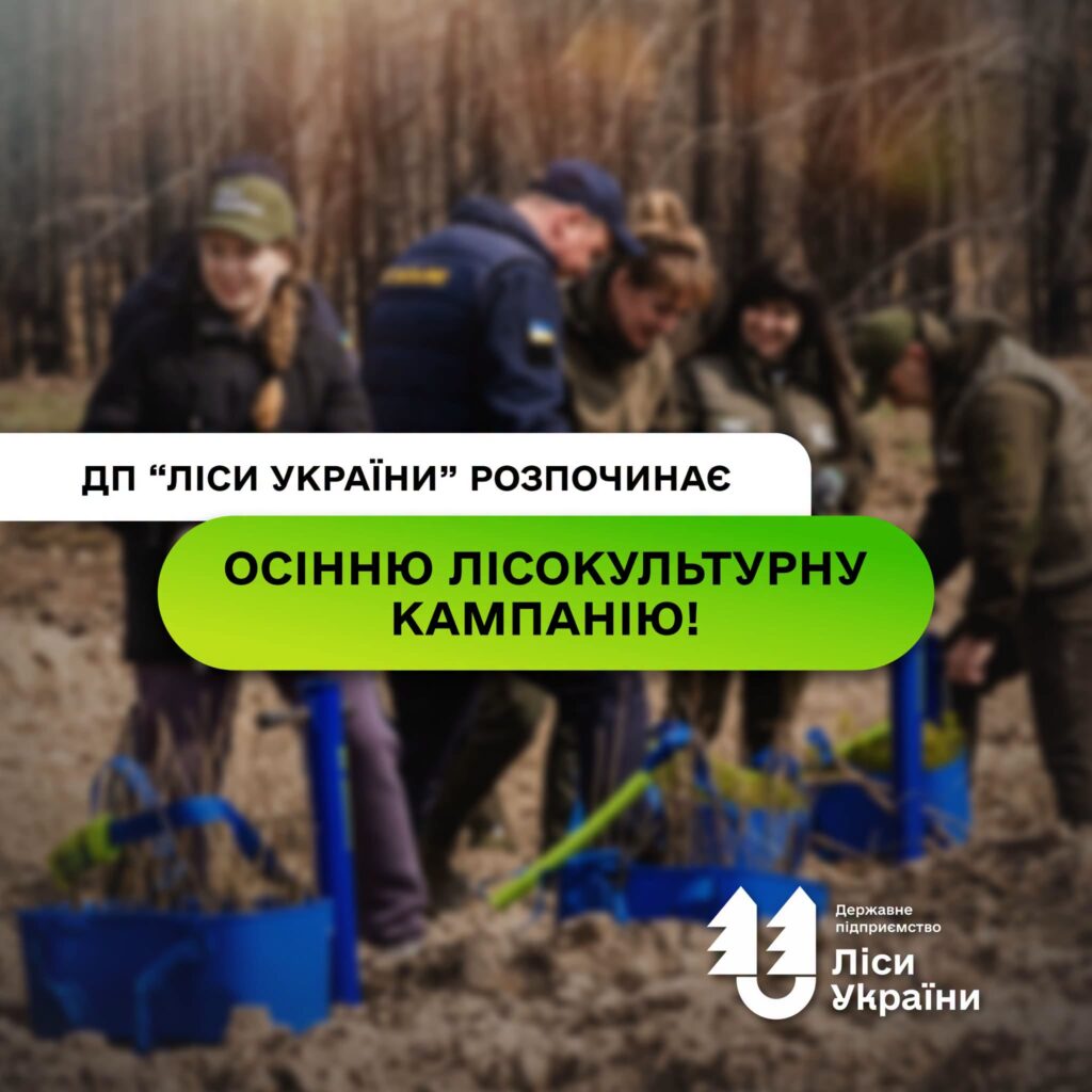 ДП «Ліси України» розпочинає осінню лісокультурну кампанію!